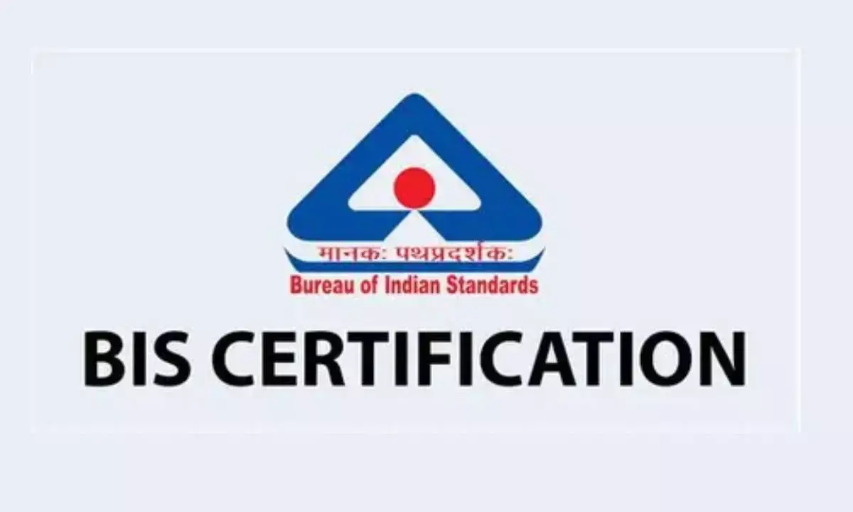 BIS conducts 2-day capsule training