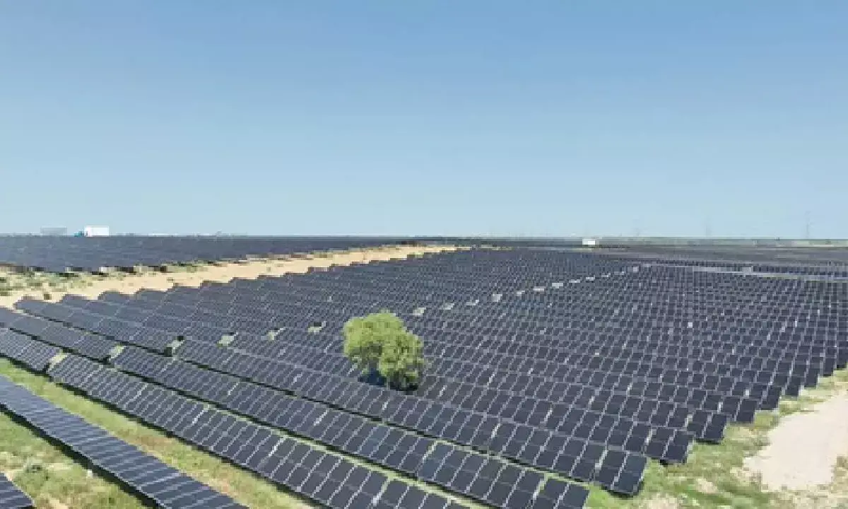 NTPC crosses 85.5 GW capacity with addition of 359.58 MW solar power