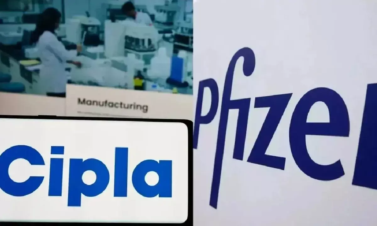 Pfizer, Cipla sign agreement for marketing 4 brands
