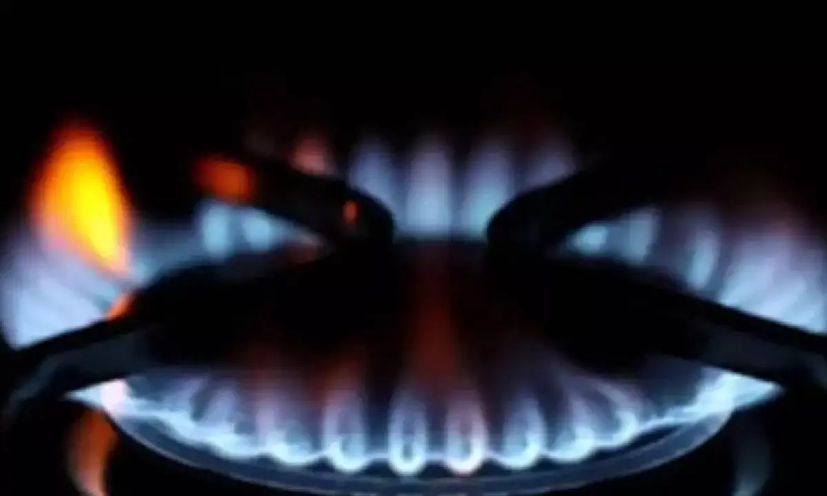 Biogas sector likely to attract Rs 5K cr investment