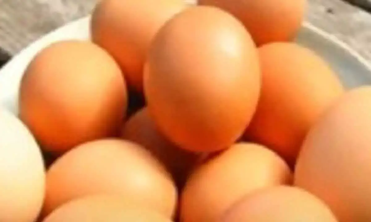 Eggs safe for consumption; no cancer risk, asserts FSSAI