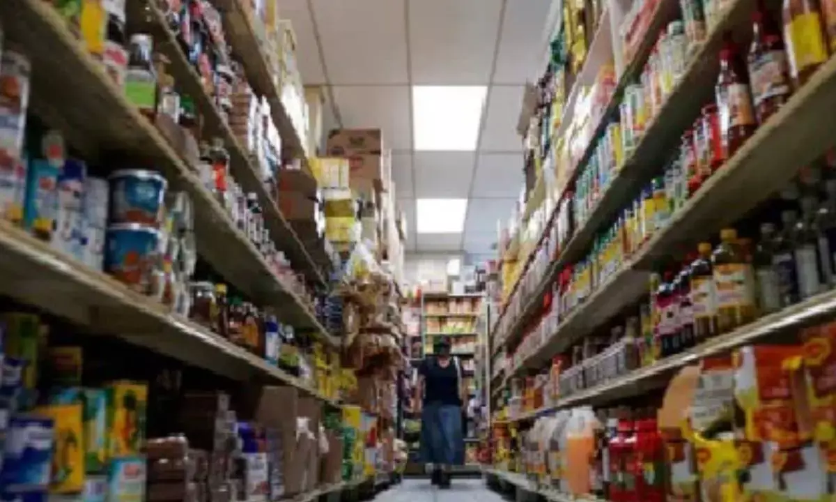 FMCG sector poised for strong volume growth next year: report