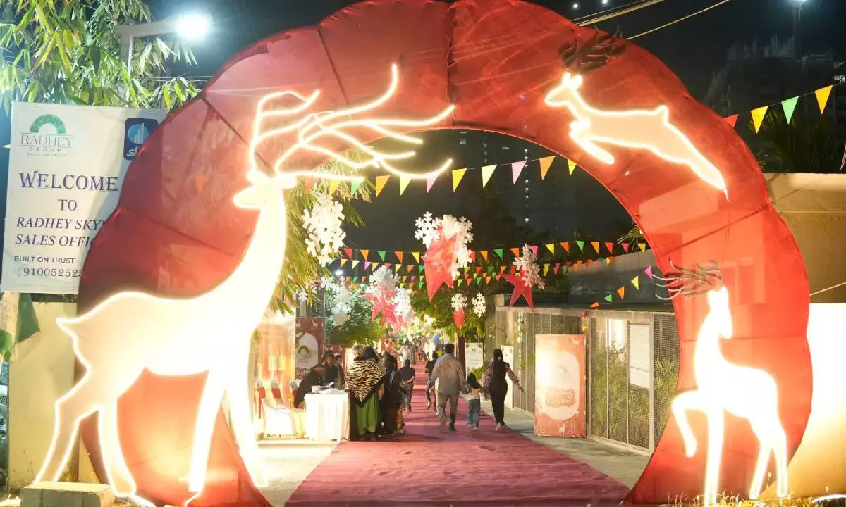 Radhey Group holds X-mas carnival