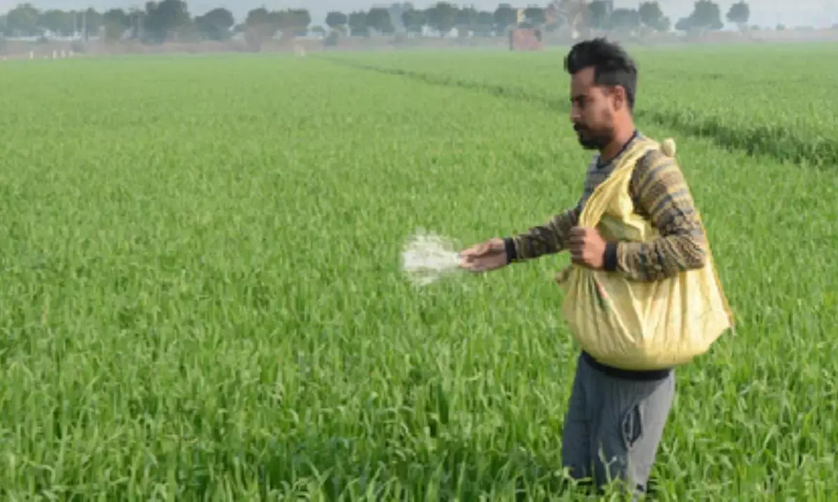 Area sown under rabi crop crosses 580 lakh hectares, says Ministry