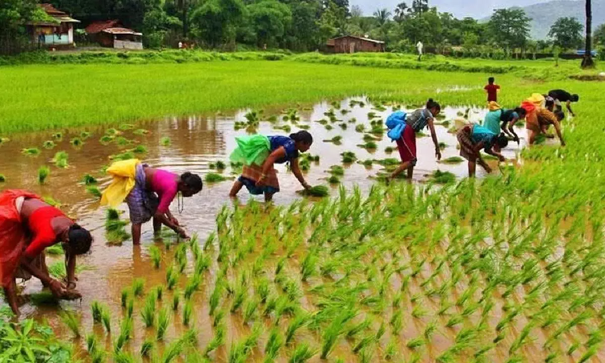 New law to address labour shortage during farm season, says Minister
