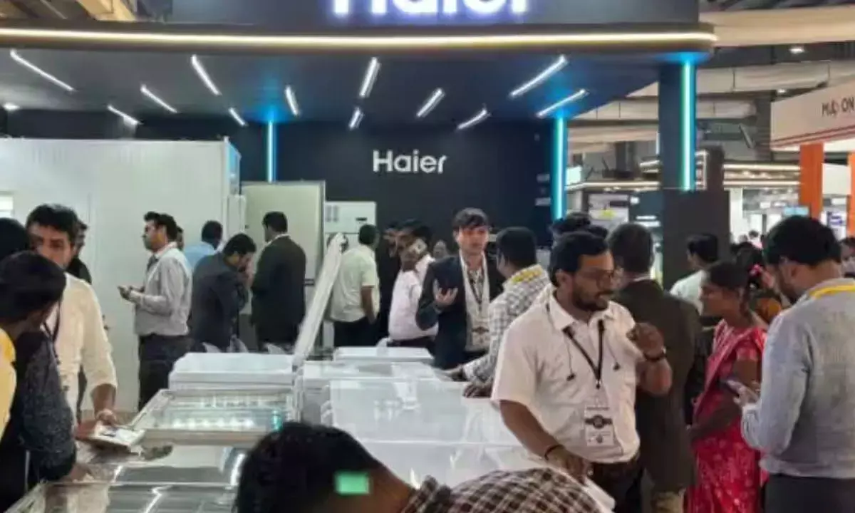 Bharti, Warburg pick up 49% stake in Haier India