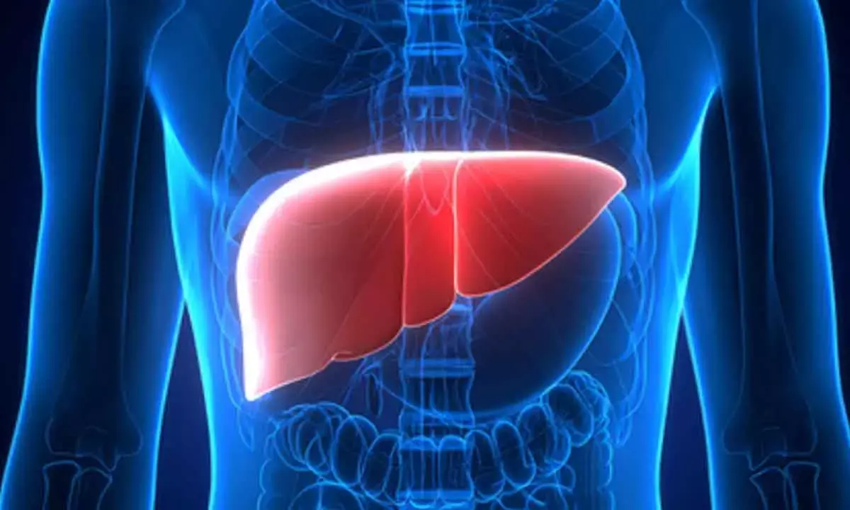 New monoclonal antibody safe, effective for rare liver disease