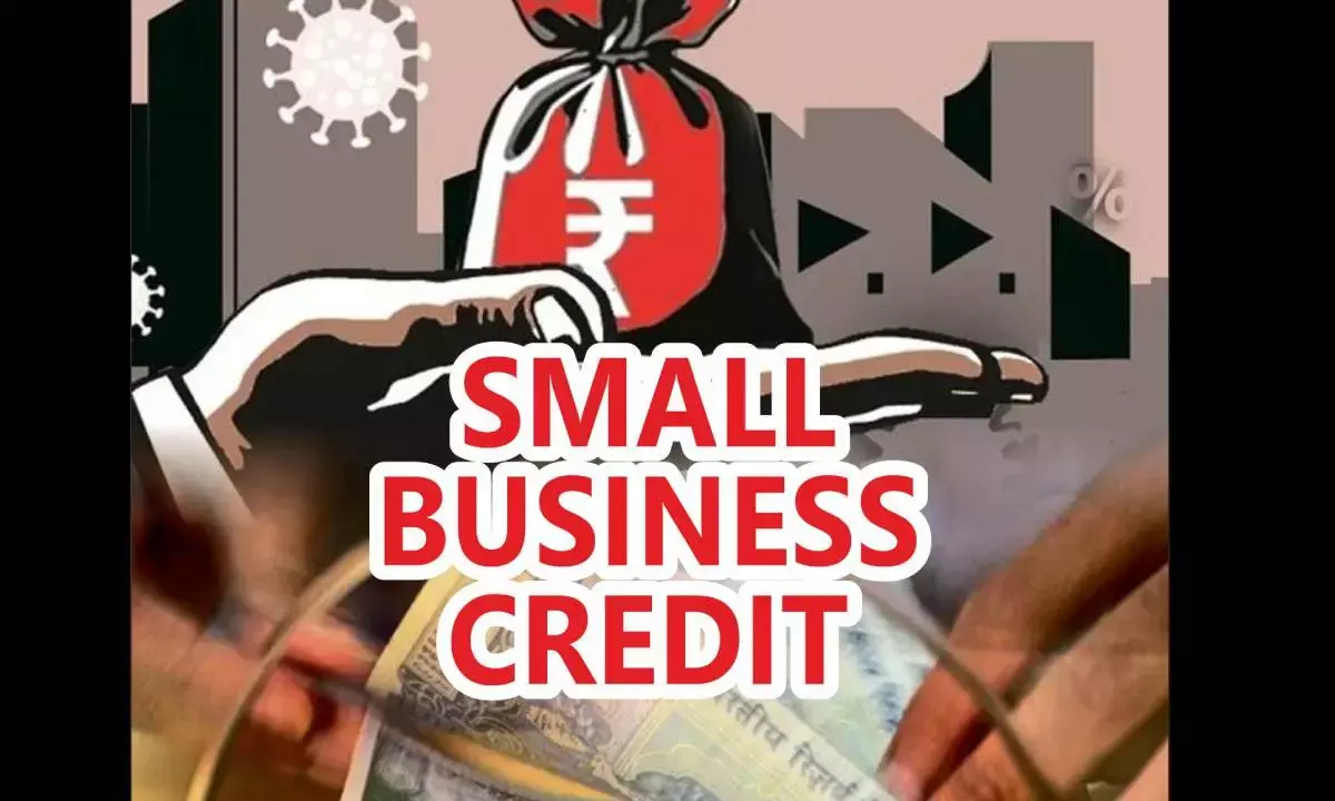 Total small business credit touches Rs 46 lakh crore