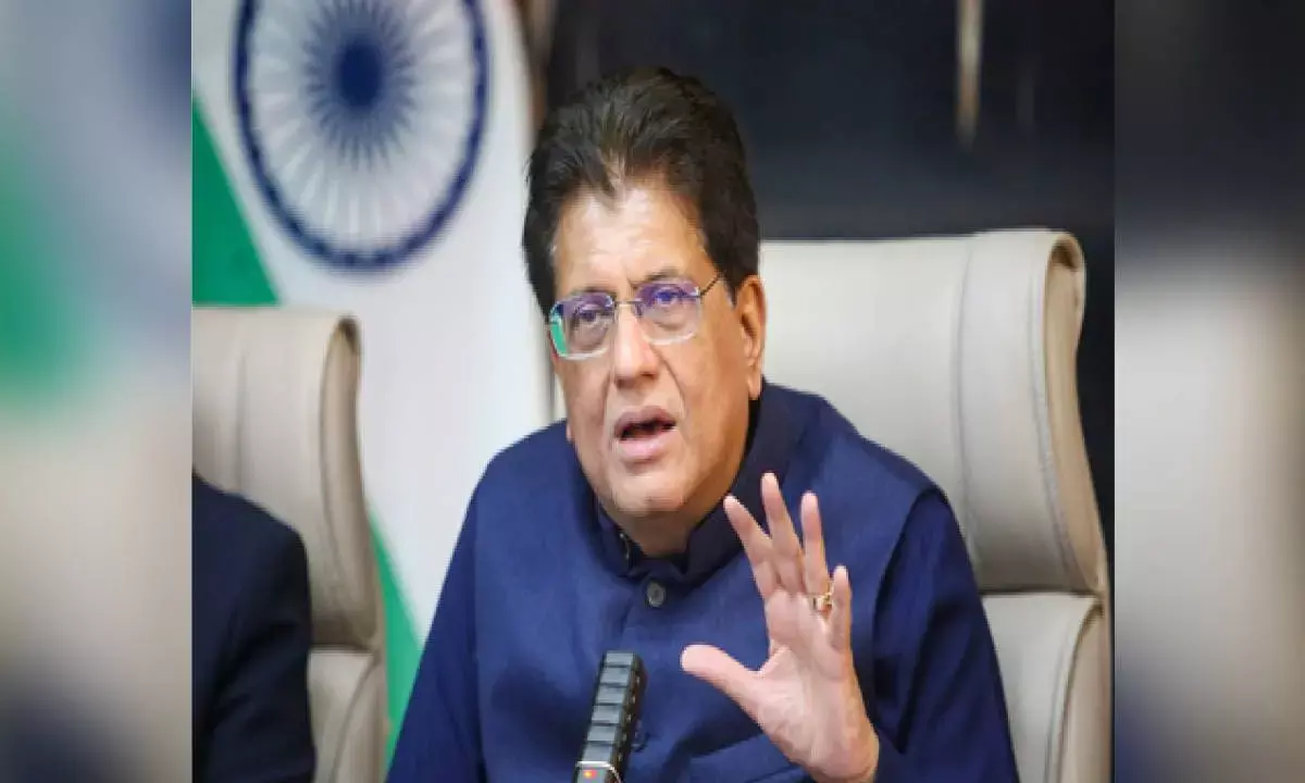 India-Australia trade pact anchors Indo-Pacific push, says Piyush Goyal