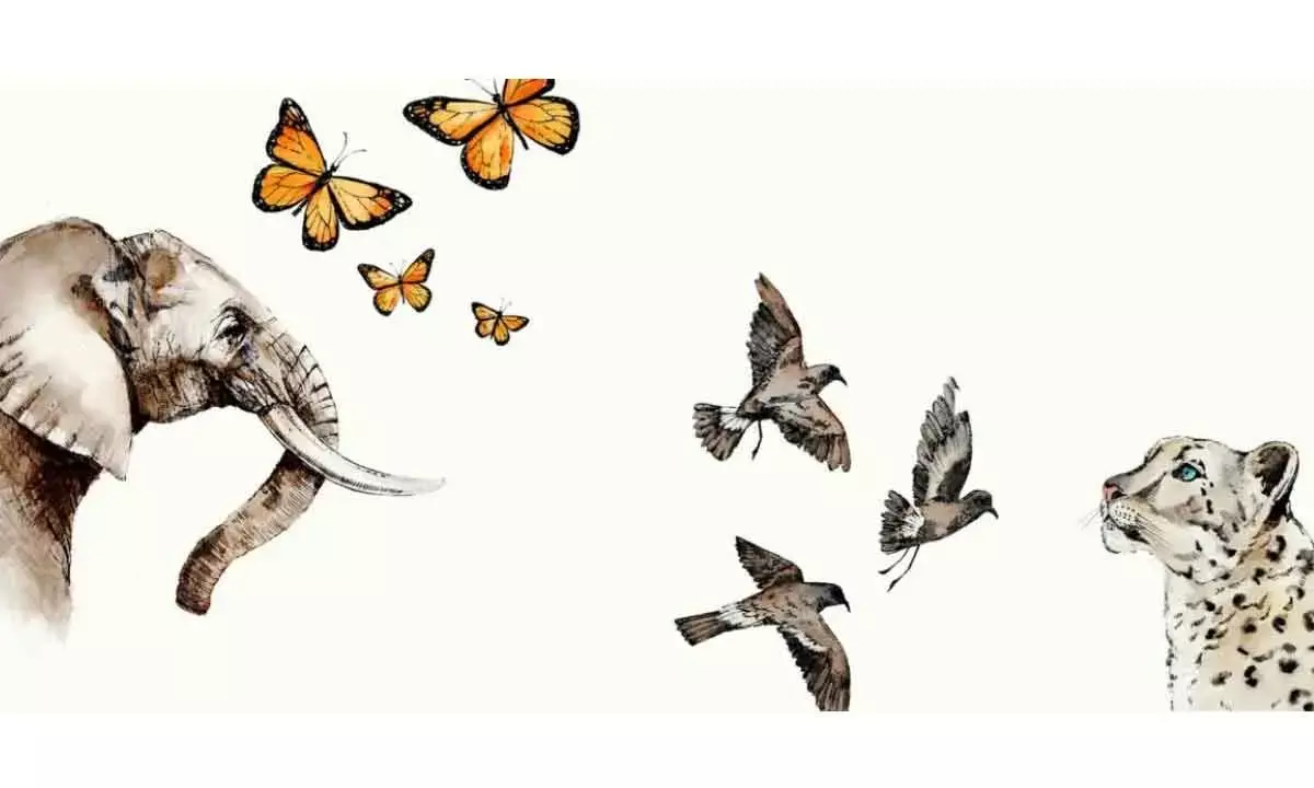 When species vanish, knowledge, culture and spirit vanish with them