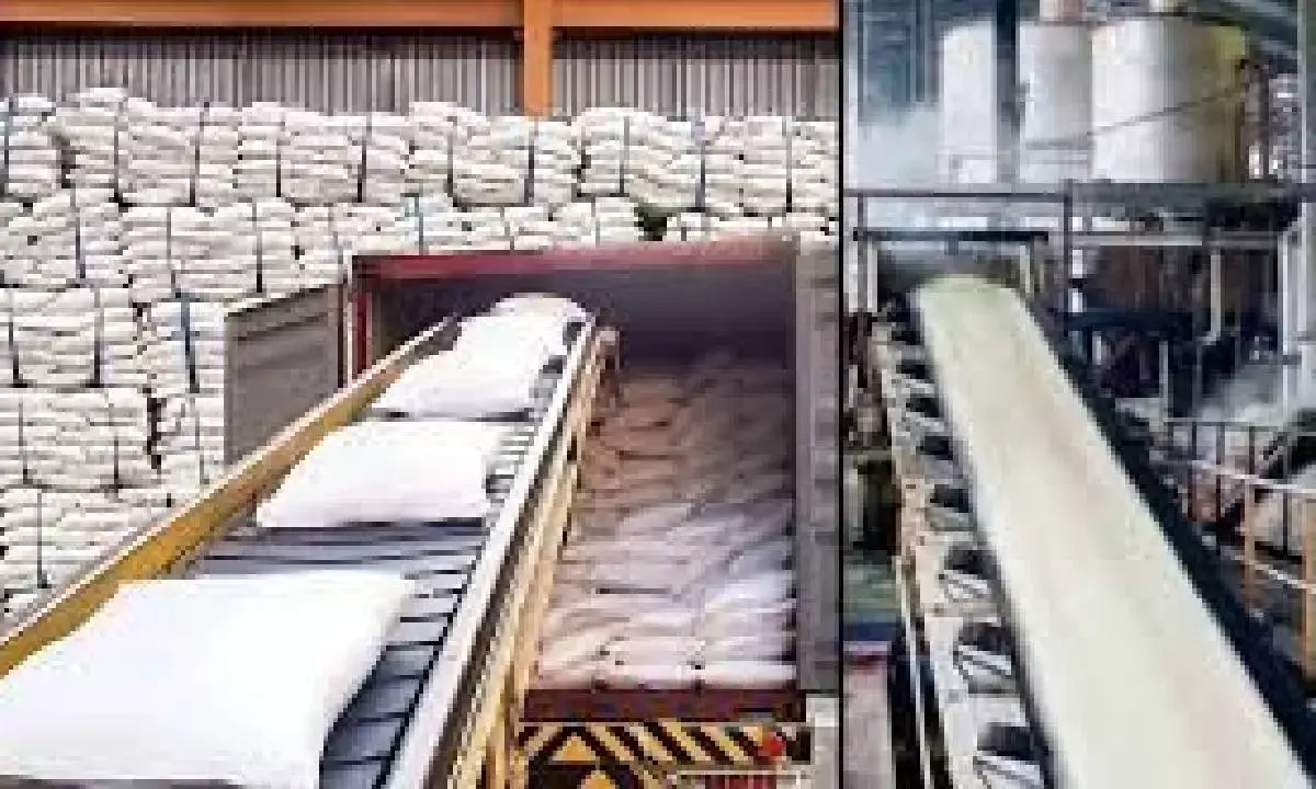 Indias sugar production up 23.43% in Oct-Dec: NFCSF