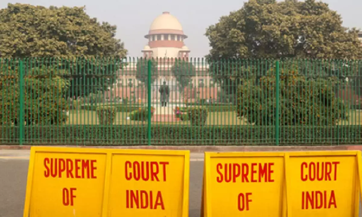 Key Supreme Court judgments of 2025