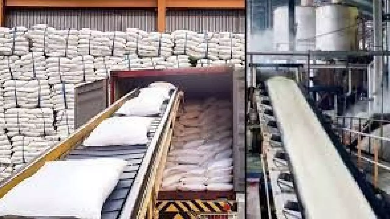 Indias sugar production up 23.43% in Oct-Dec: NFCSF