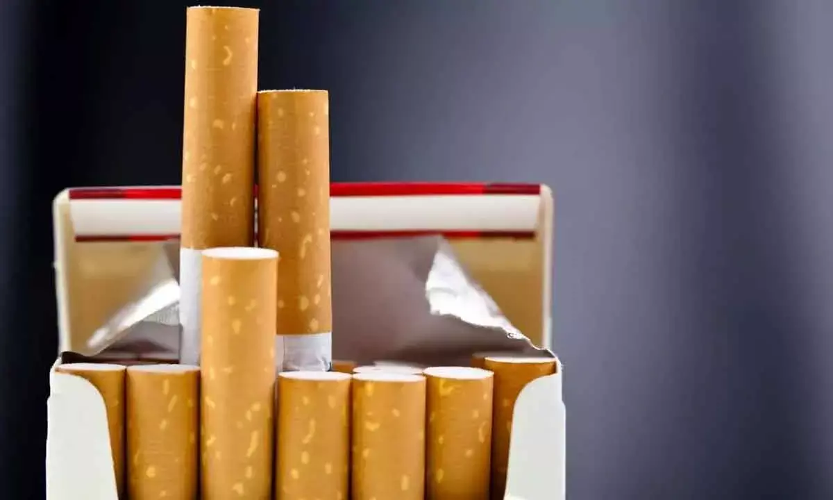 Tobacco shares plunge on higher excise duty from Feb