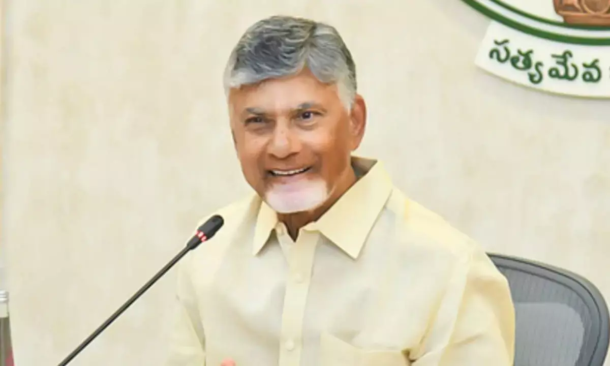 Our focus will be on speed of delivering governance: CM Naidu