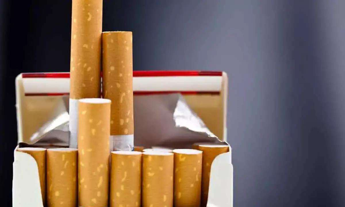 Tobacco stocks slide for 2nd day