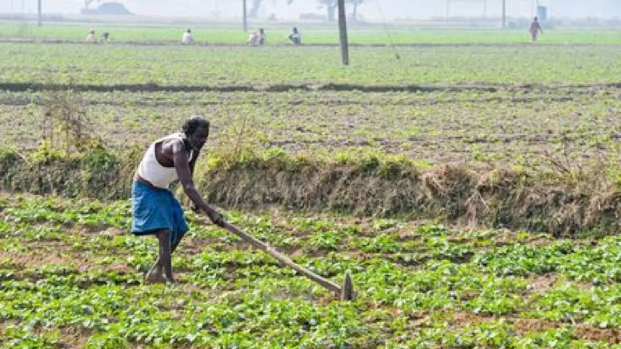 Rabi 2025–26 fertiliser subsidy estimated at Rs 37,952 cr