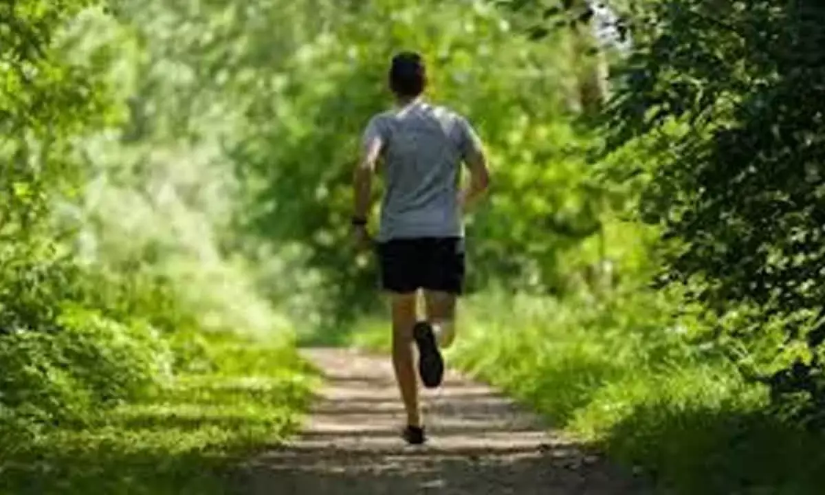 How hot is too hot? Heres what to consider when exercising in the heat