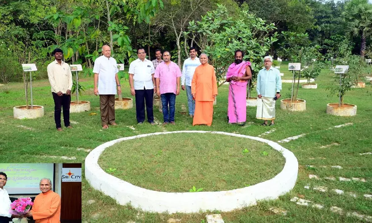 Meditation key to lasting happiness today