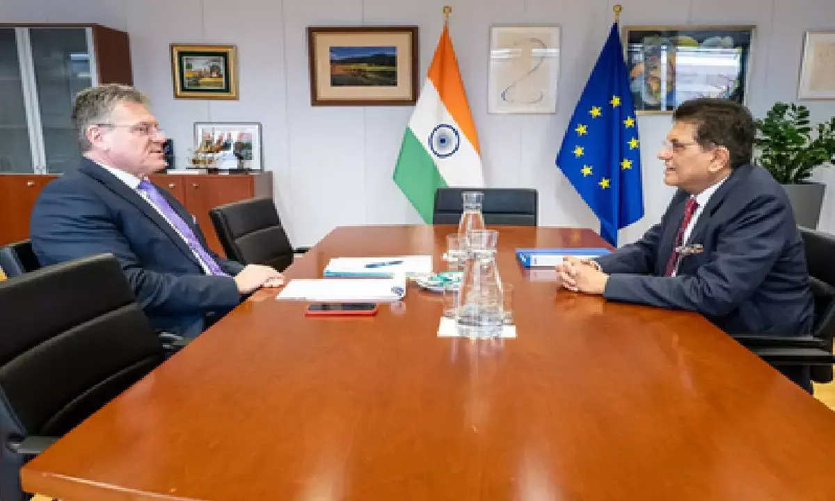 Goyal holds trade pact talks with EU in Brussels