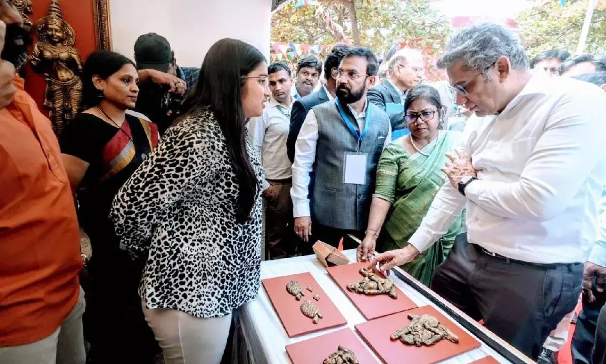 Lighthouse festival gets off to a colourful start