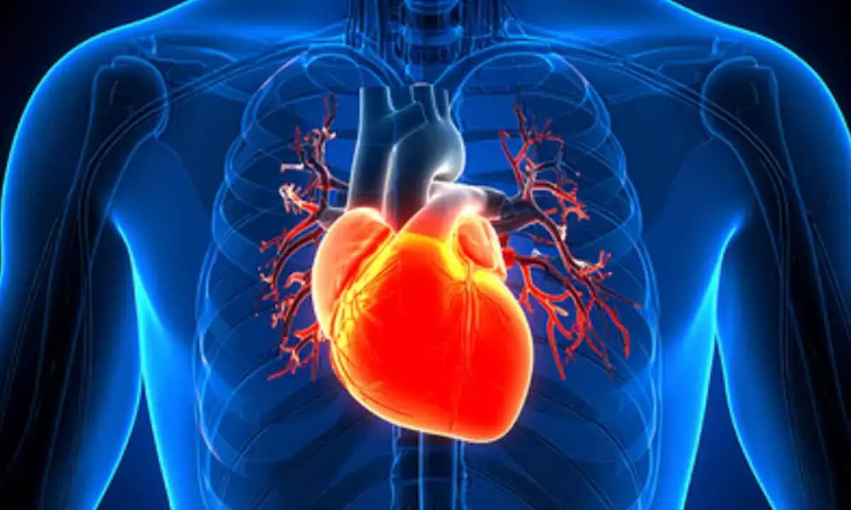 Time of day may determine heart surgery outcomes: Study