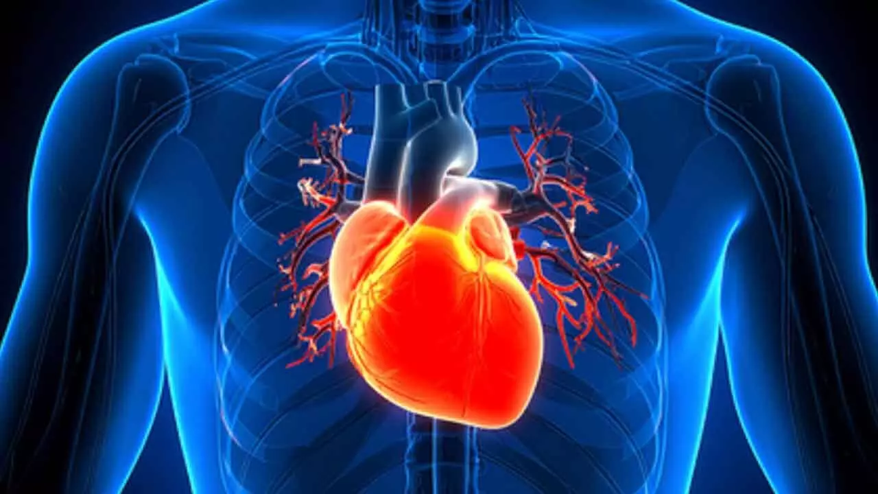 Time of day may determine heart surgery outcomes: Study Time of day may determine heart surgery outcomes: Study