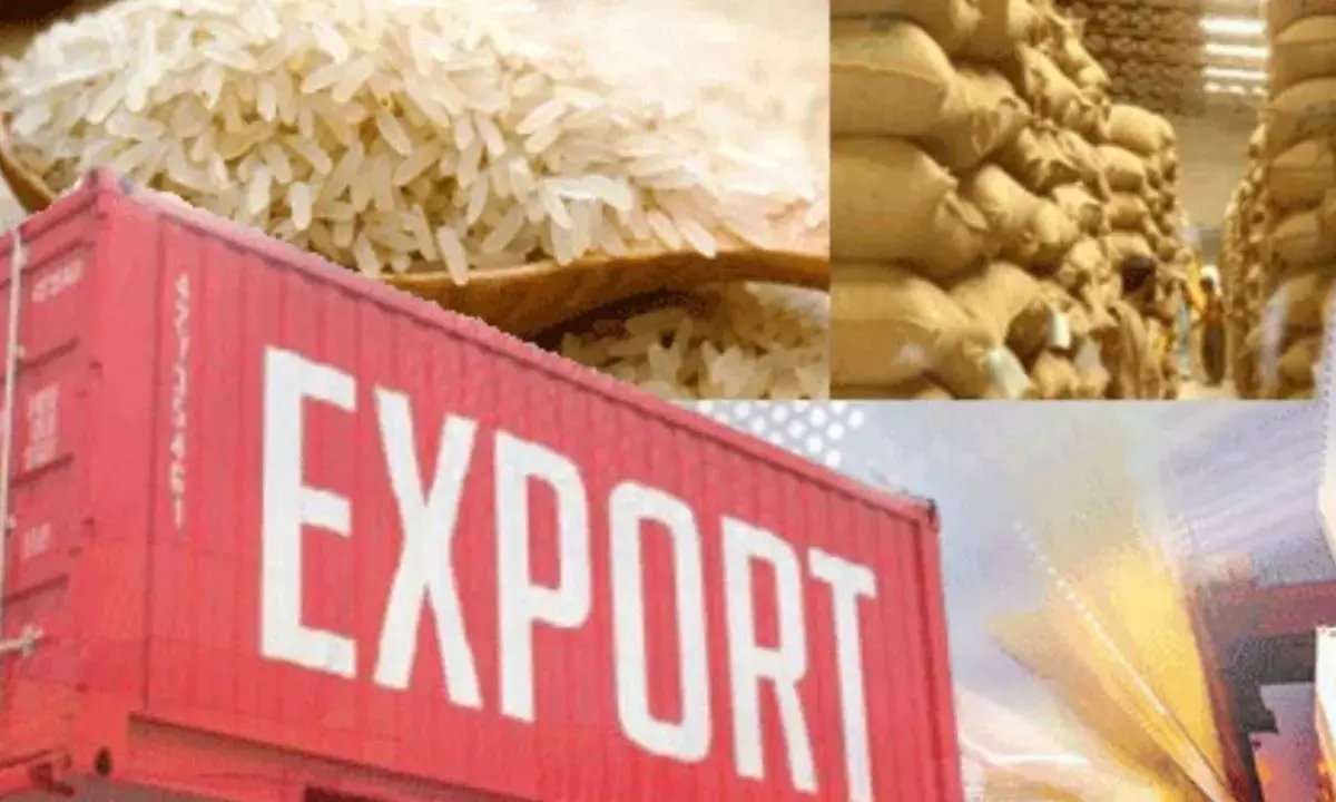 India’s rice exports jump 19.4% after curbs lifted