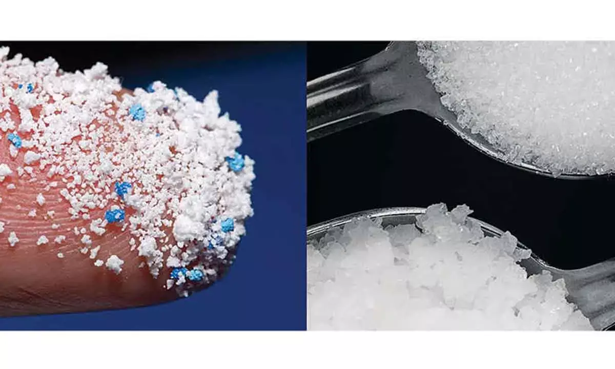 ICMR lacks info on risks of microplastics in food items