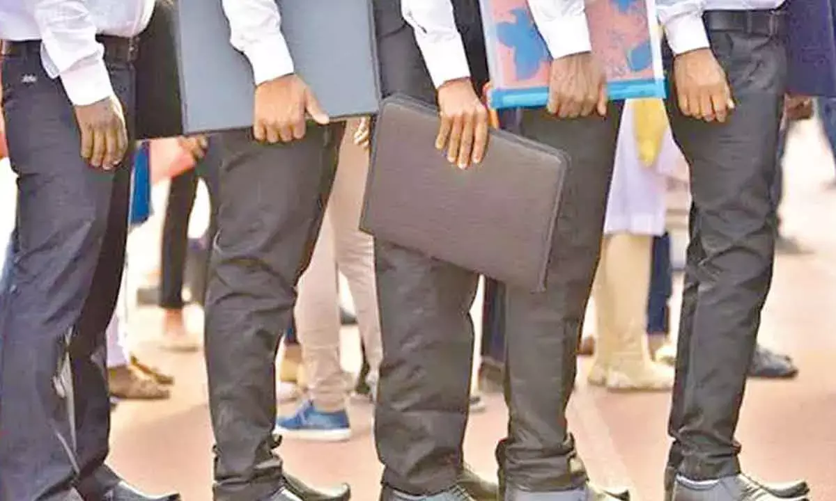 Fresher hiring intent up 7%