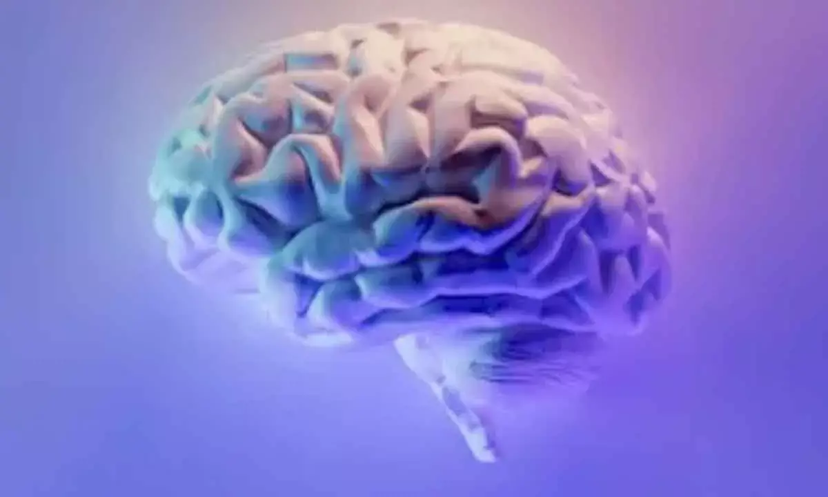 Brain area that controls breathing has role in high BP’