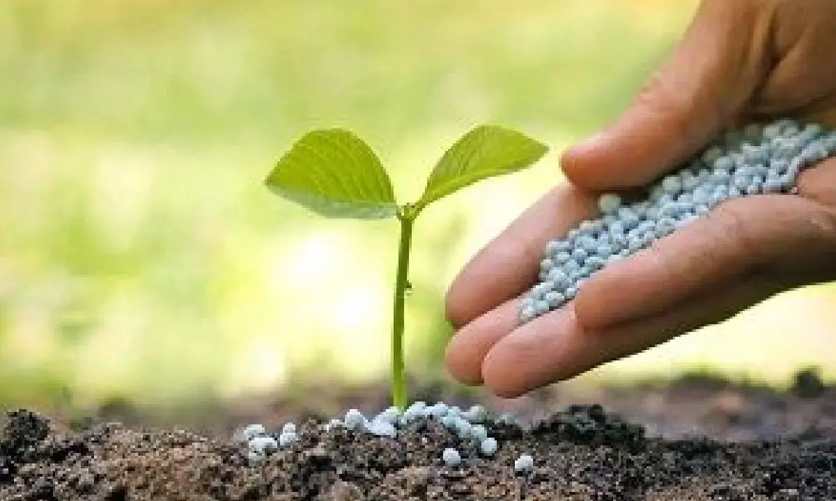 Record 834.64 lakh tonnes of fertilisers for farmers in 2024-25