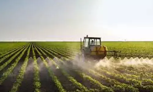 Nitro fumes need to be slashed by a third to meet sustainability targets: Study