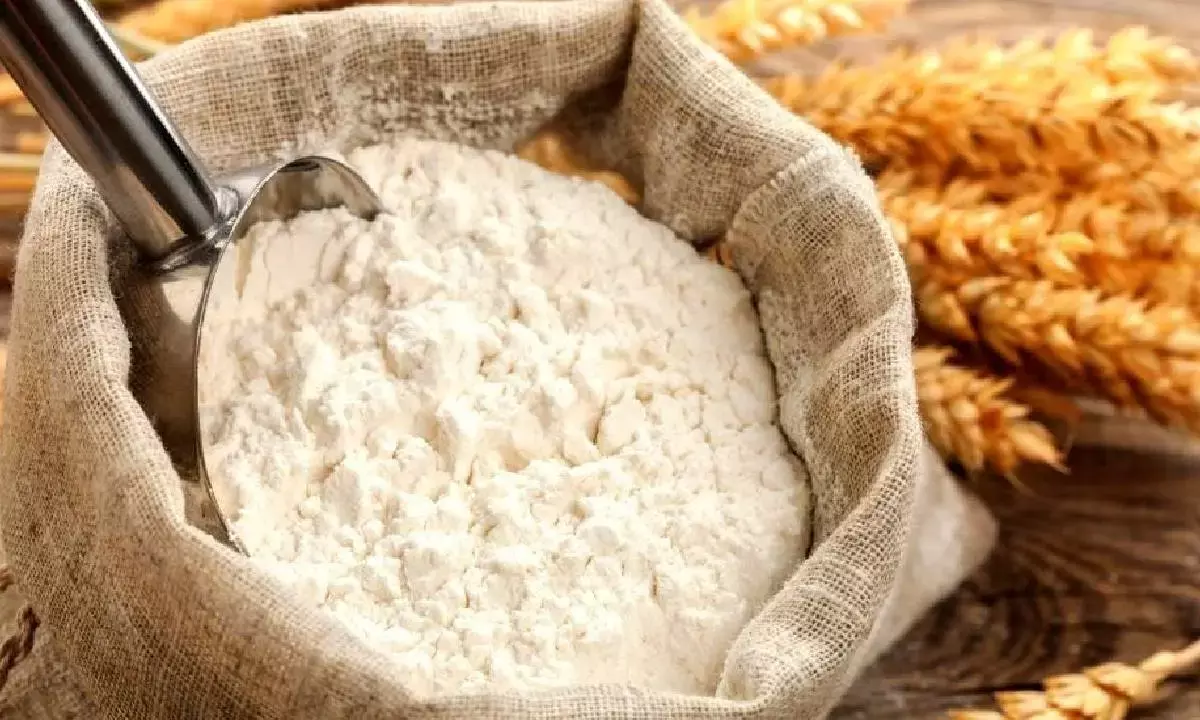 Govt permits exports of 5L tonnes of wheat flour