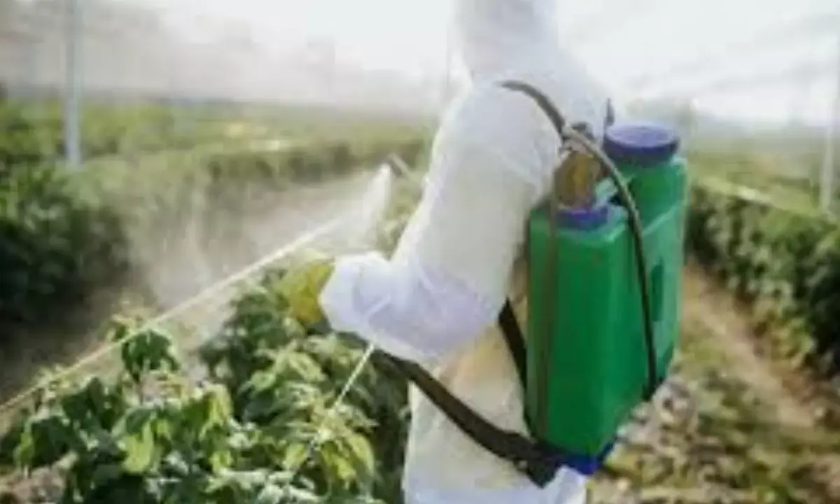 Pesticide sector seeks tighter rules to curb fake product sales