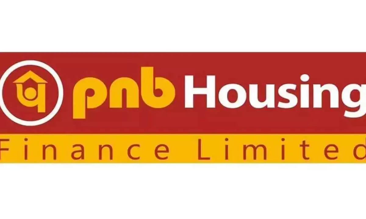 PNB Housing Finance stock tumble 10%