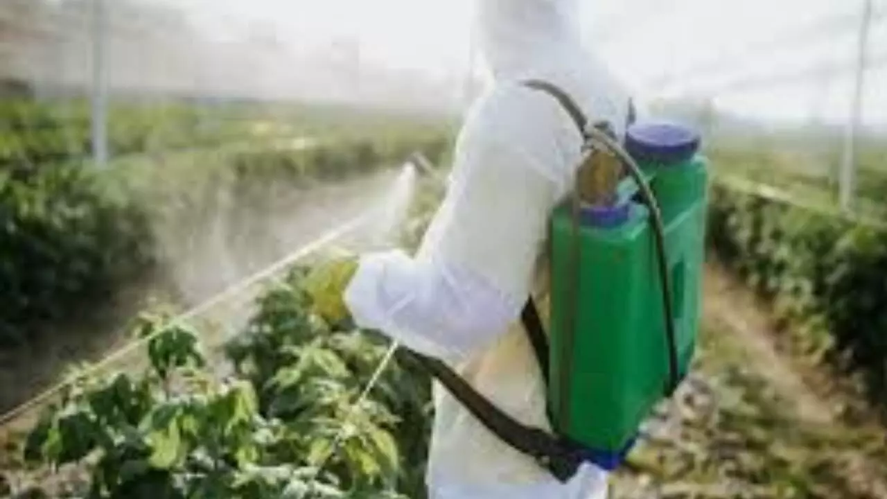 Pesticide sector seeks tighter rules to curb fake product sales