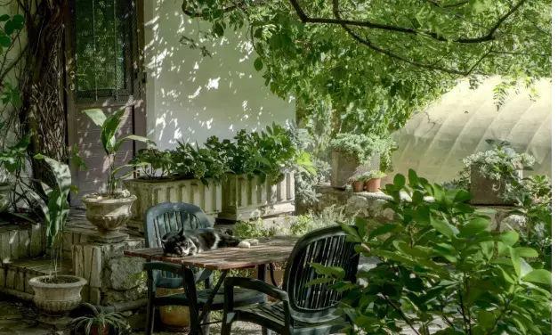 How To Create A Stylish Outdoor Space