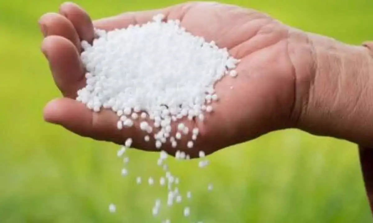 Targeted urea subsidy can rein in costs and boost efficiency