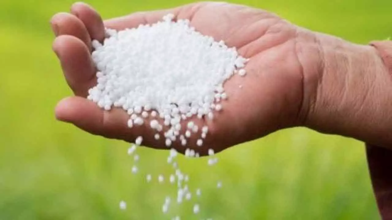 Targeted urea subsidy can rein in costs and boost efficiency Targeted urea subsidy can rein in costs and boost efficiency