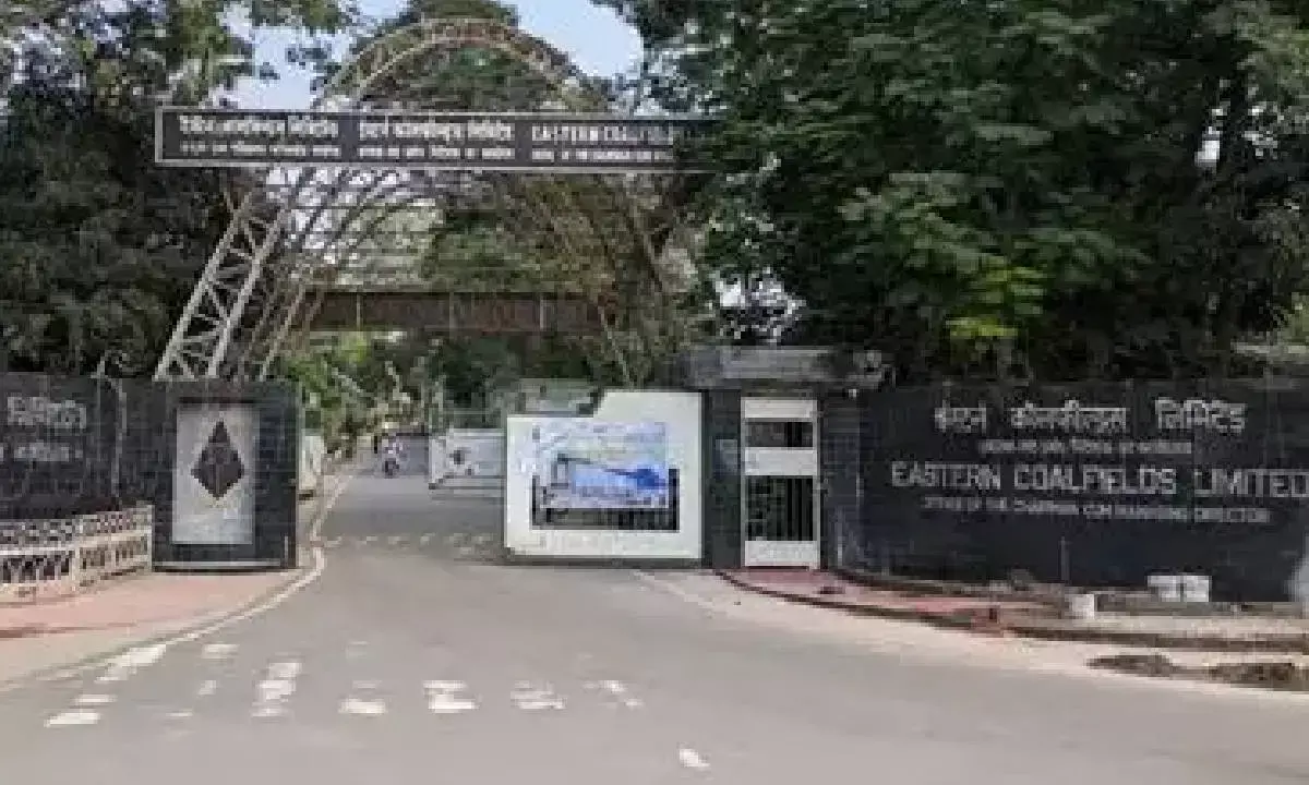 ECL plans to boost production