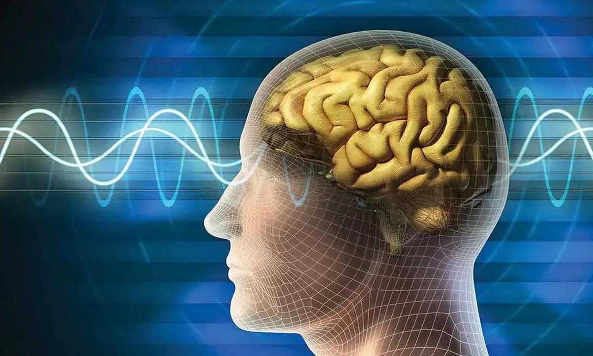 What if you trained your brain like your body?