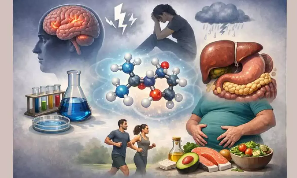 Study discovers stress-reducing role of molecule, may help with metabolic disorders