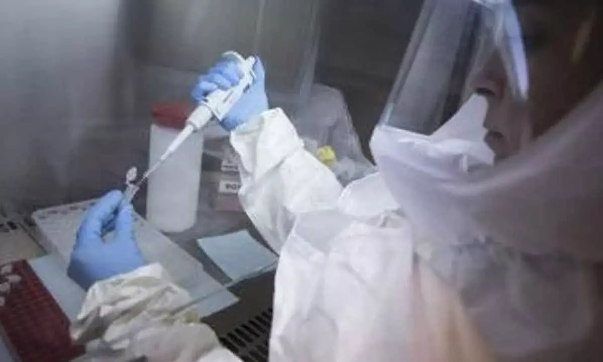 Chinese scientists identify key Ebola virus mutation