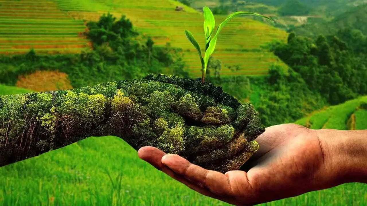 America’s fertiliser habit is choking its waterways