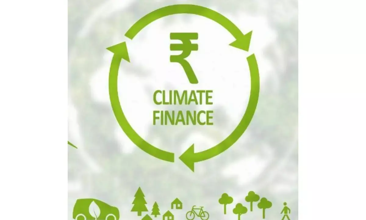 Domestic resources insufficient to meet climate finance needs