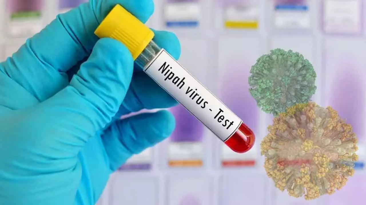 Nipah virus explained: Why Asia is on high alert