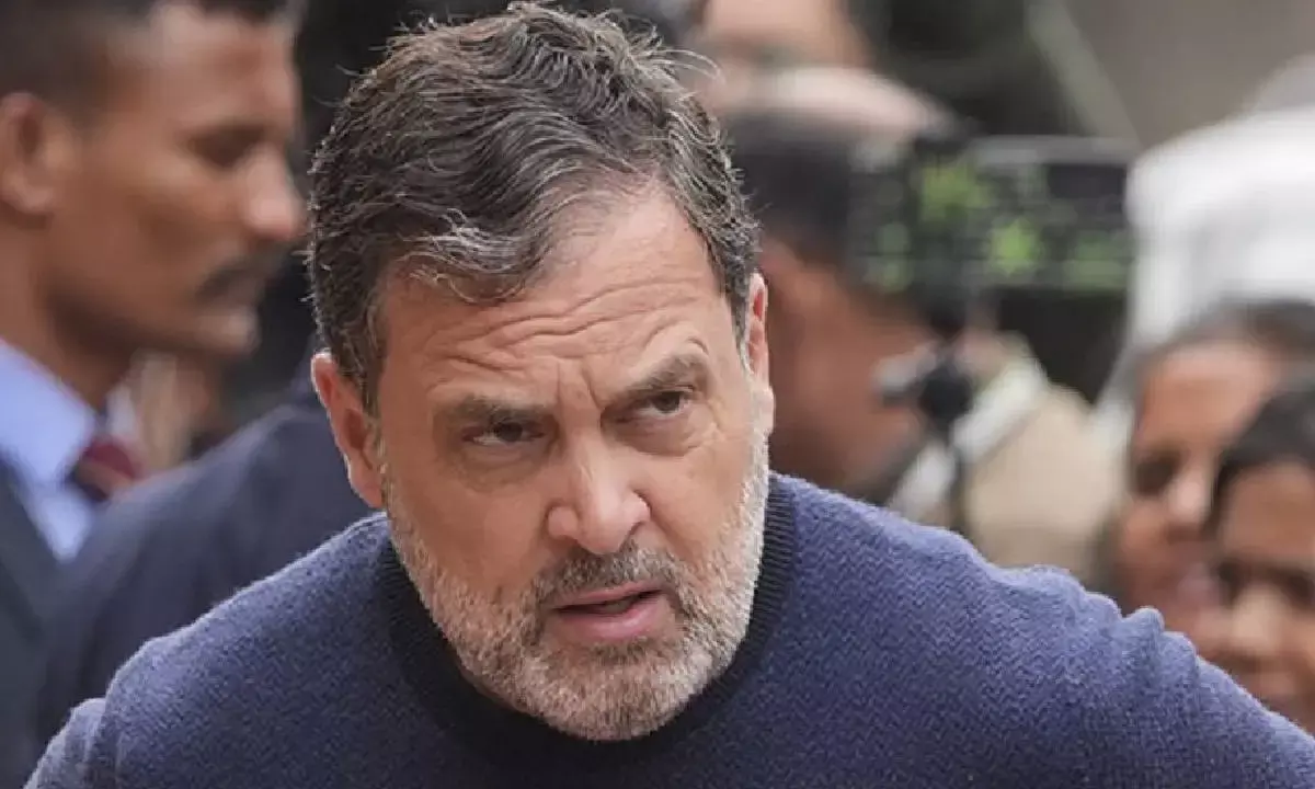 Budget blind to jobs, farmers’ distress: Rahul Gandhi