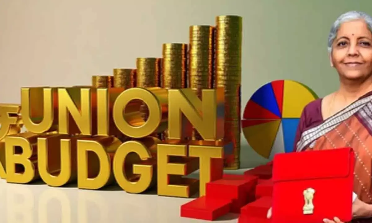 Budget aims to rebuild India’s EM appeal