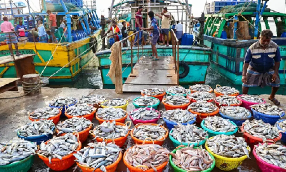 Govt to strengthen fisheries and animal husbandry sectors